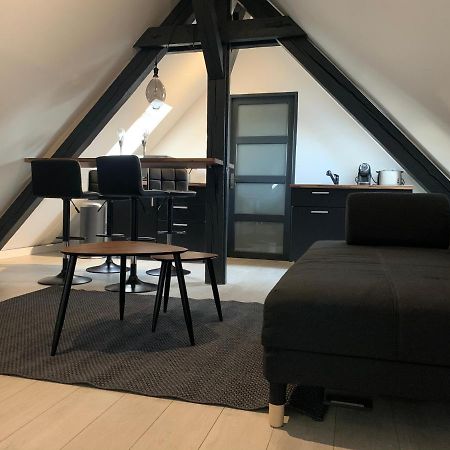 Cocoon Loft Apartment Colmar Exterior photo