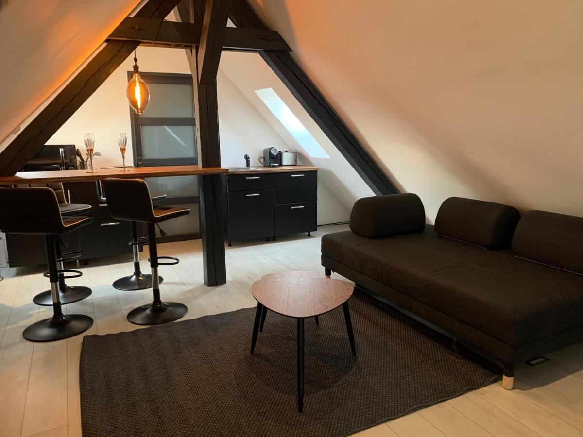 Cocoon Loft Apartment Colmar Exterior photo
