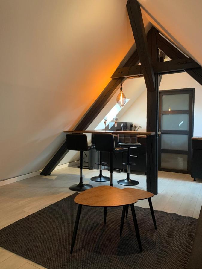Cocoon Loft Apartment Colmar Exterior photo